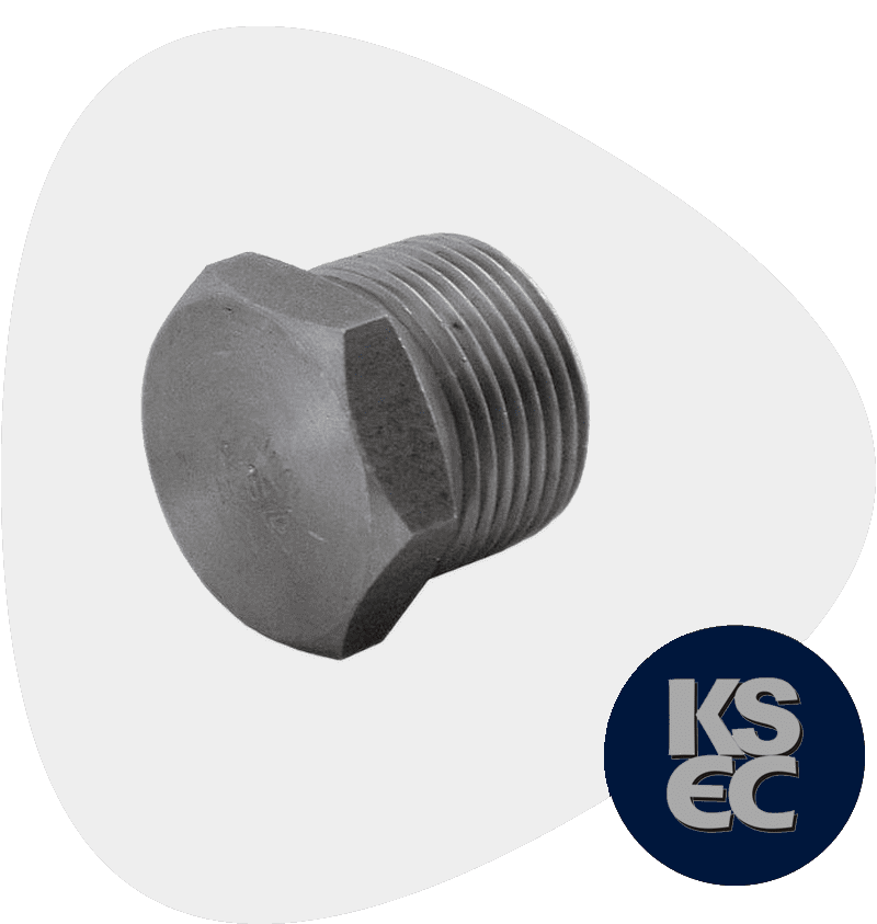 Alloy Steel F91 Forged Plug