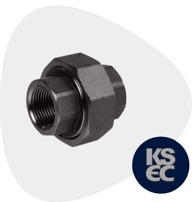 Alloy Steel F91 Forged Union