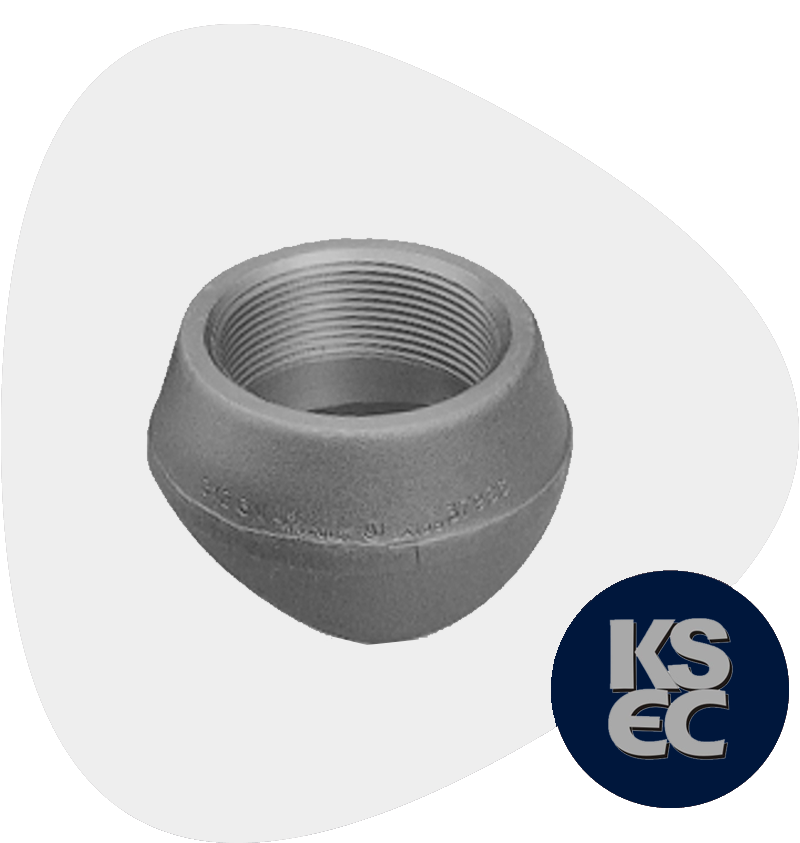 Alloy Steel Forged Threaded Branch Outlet