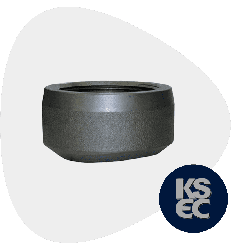 Alloy Steel Threaded Outlets