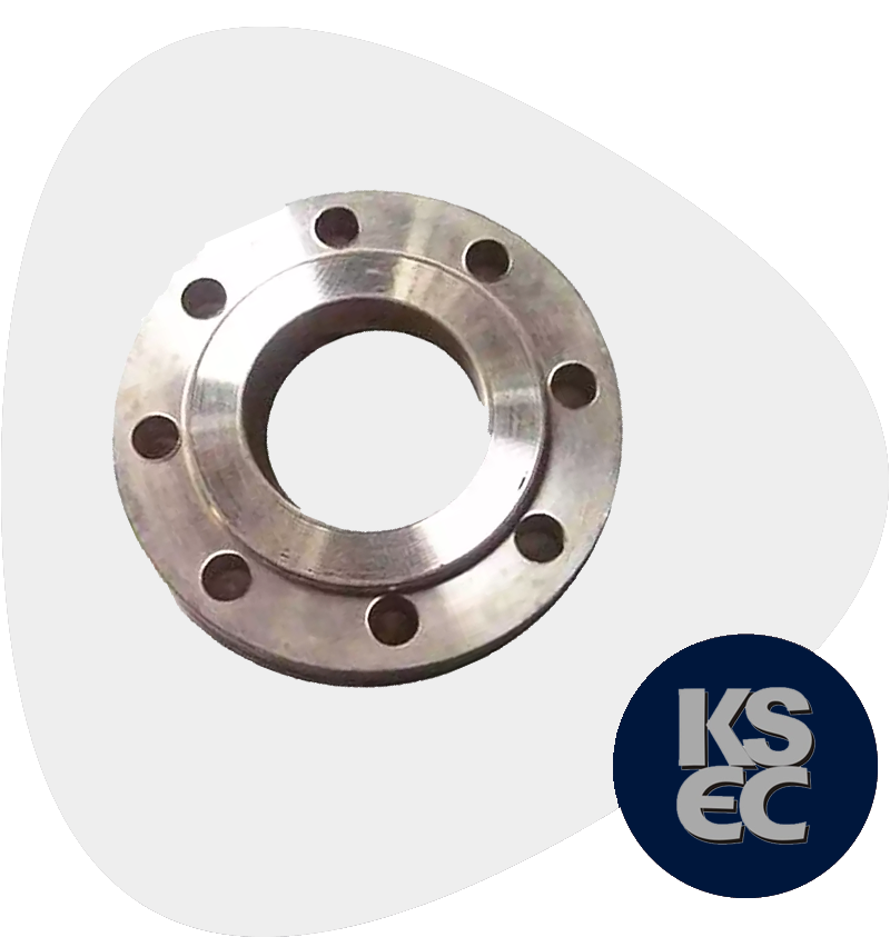 Stainless Steel Raised Face Forged Flanges