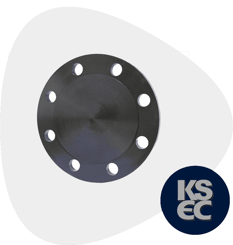 CS F56 Blind Flanges