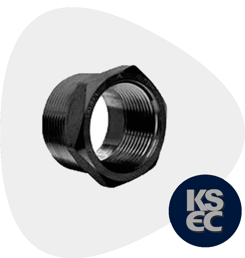 Carbon Steel A105 Forged Bushing