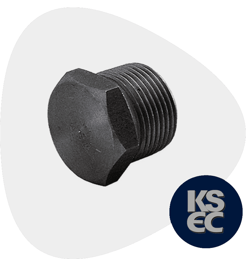 Carbon Steel IBR Plug