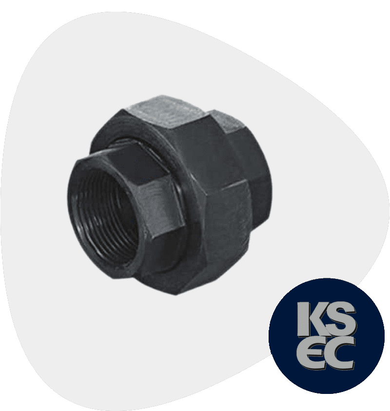 Carbon Steel IBR Union