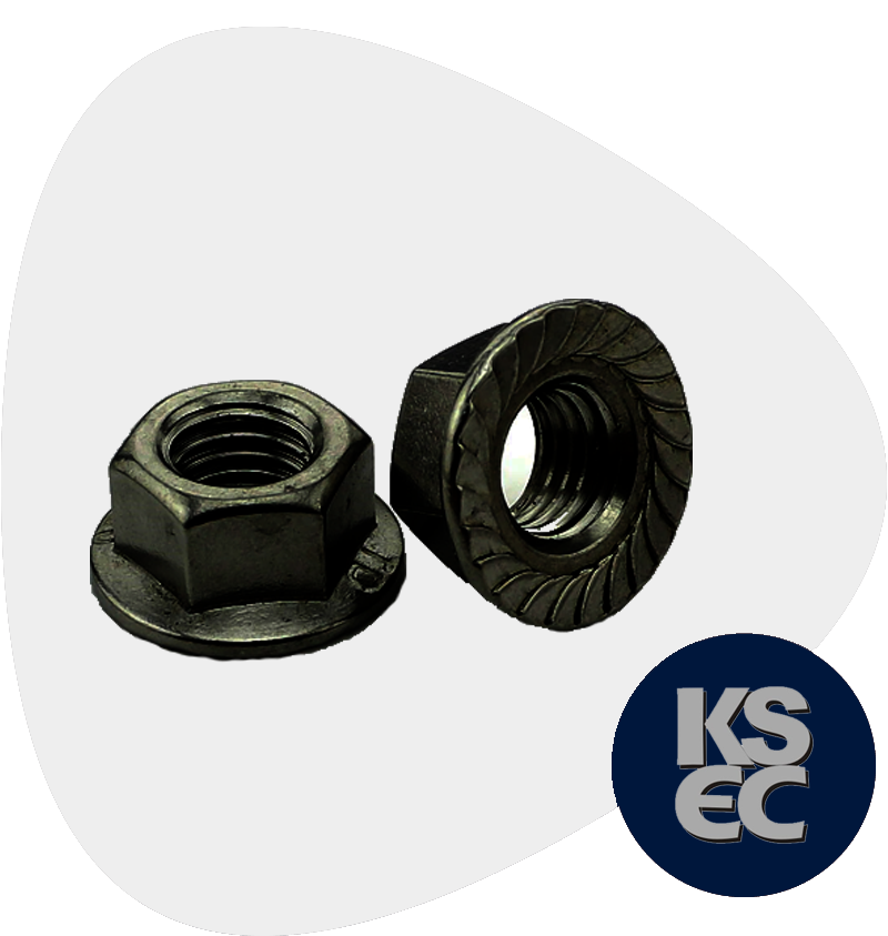 Carbon Steel Flange Nuts