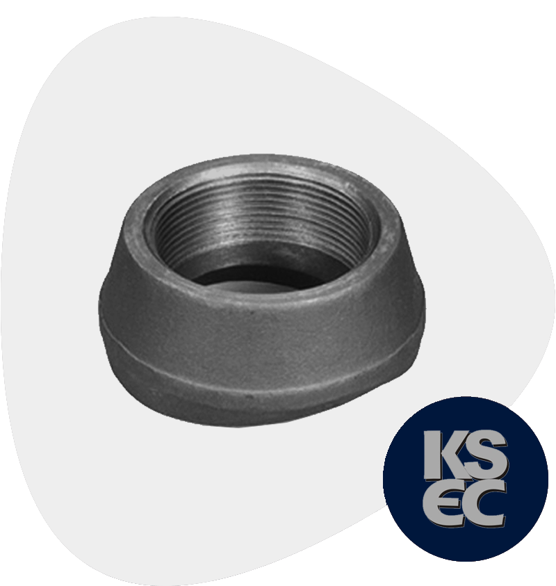 Carbon Steel Forged Threaded Branch Outlet