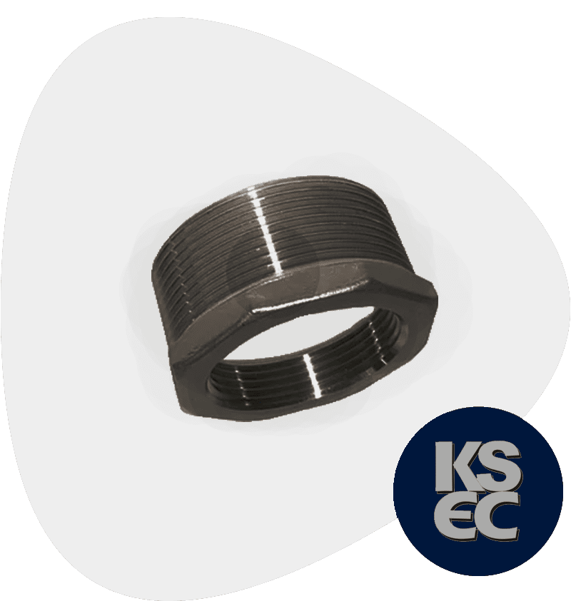 Carbon Steel Hex Bushing