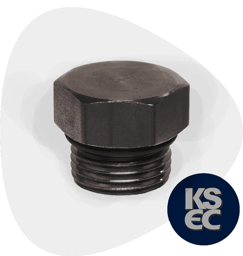 Carbon Steel Hex Head Plug