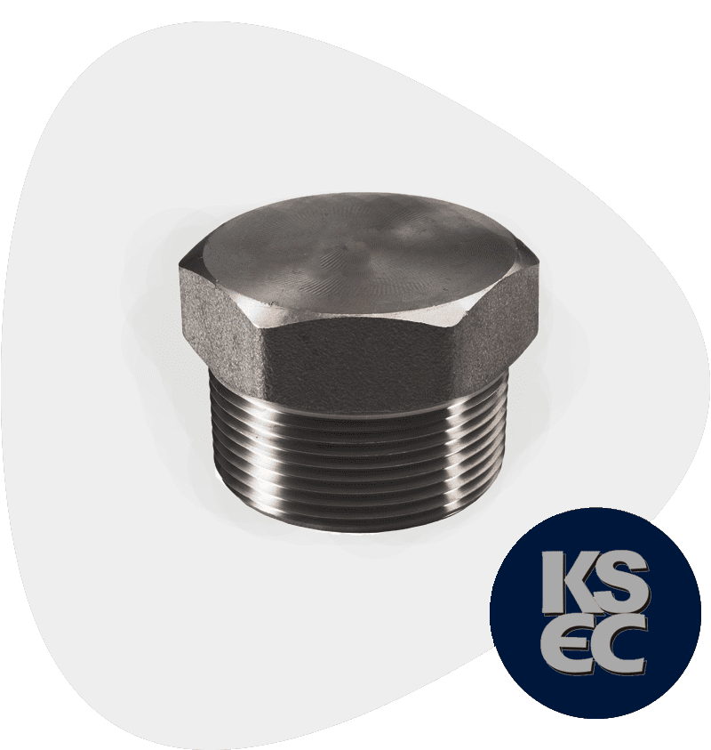 Carbon Steel Hex Plug