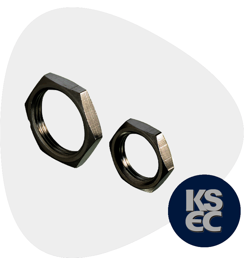 Carbon Steel Panel Nuts