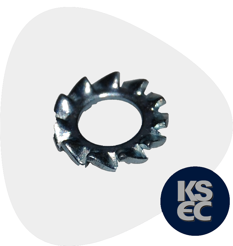 Carbon Steel Star Washers