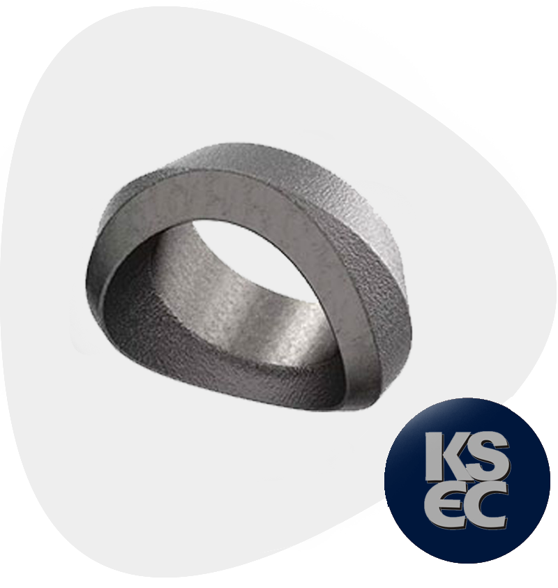 Carbon Steel Welding Outlets