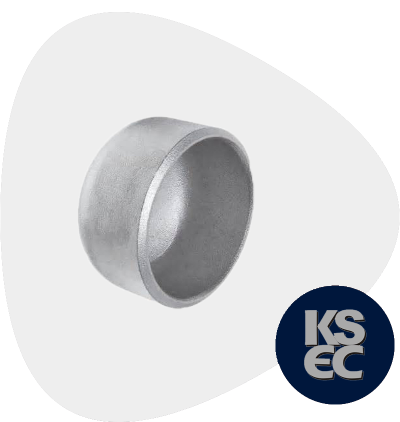 Duplex / Super Duplex Butt weld End Cap