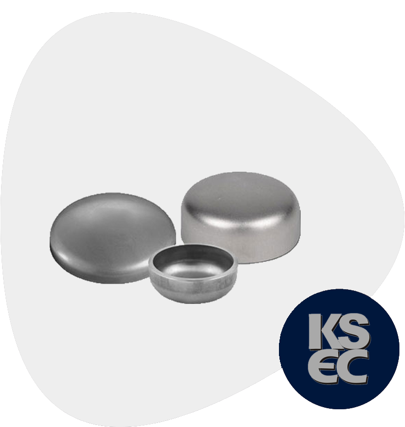 Duplex / Super Duplex Butt weld Pipe Cap