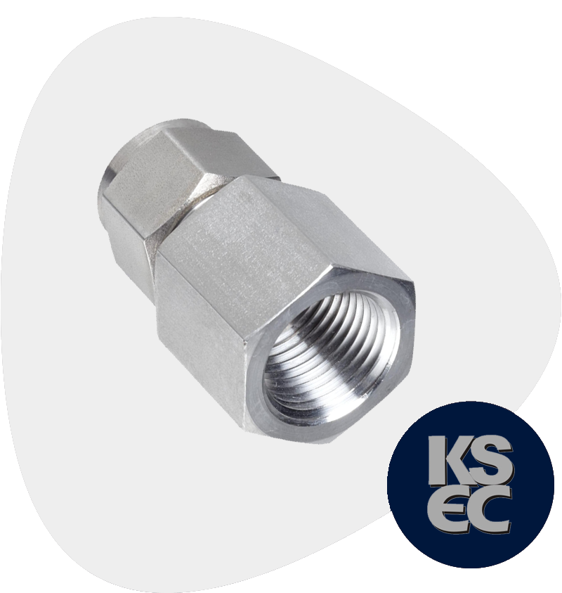 Duplex/Super Duplex Steel Forged Threaded Adapter