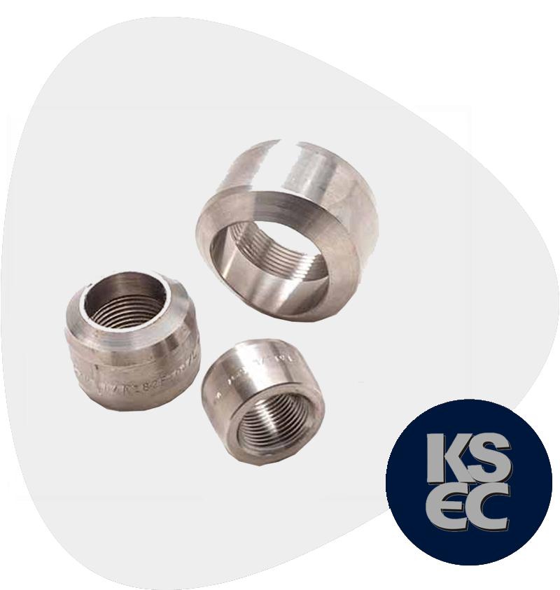 Duplex/Super Duplex Steel Forged Threaded Branch Outlet