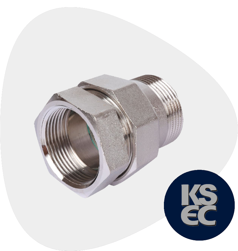 Duplex/Super Duplex Steel Forged Threaded Male x Female Union
