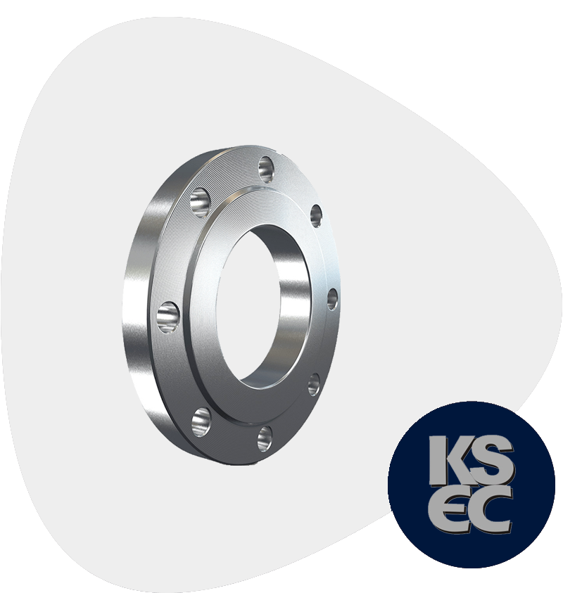 Stainless Steel Flat Face Forged Flanges