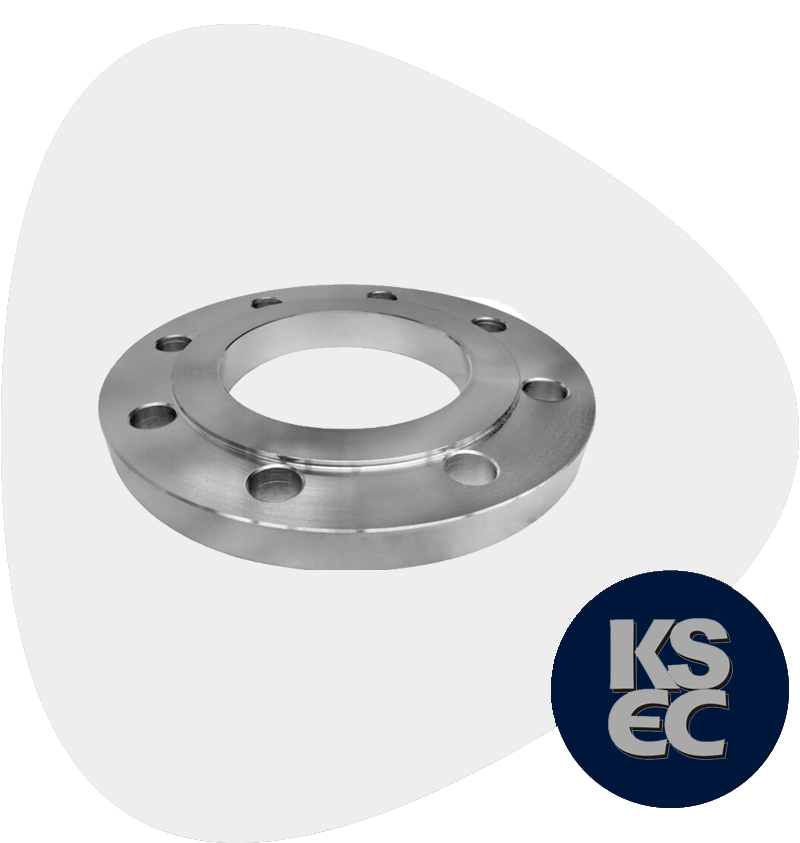 Stainless Steel Forged Flanges