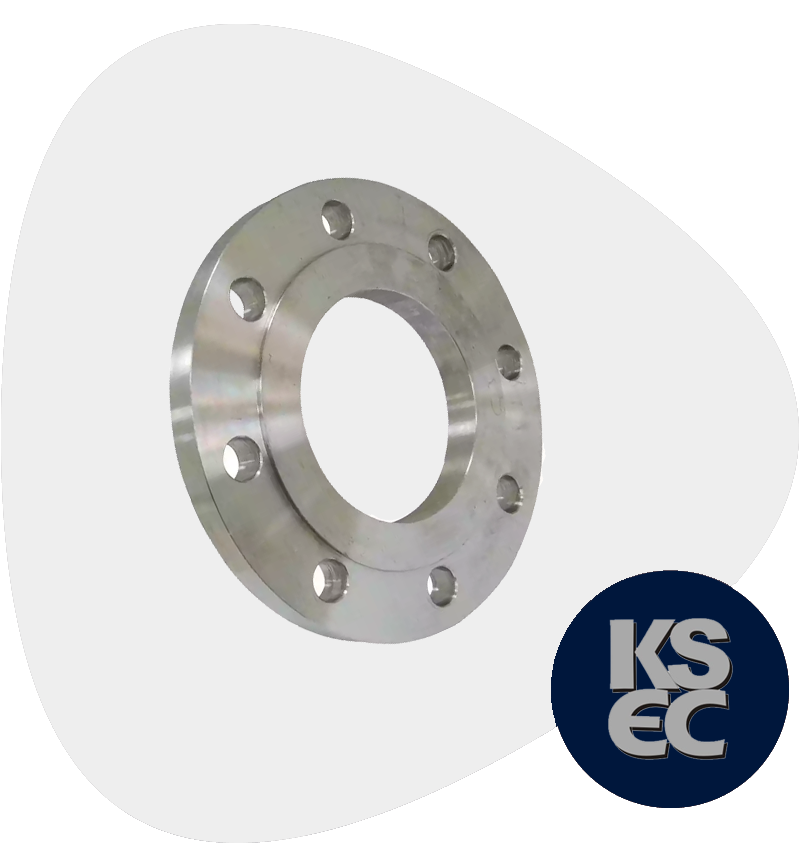 Stainless Steel Raised Face Forged Flanges