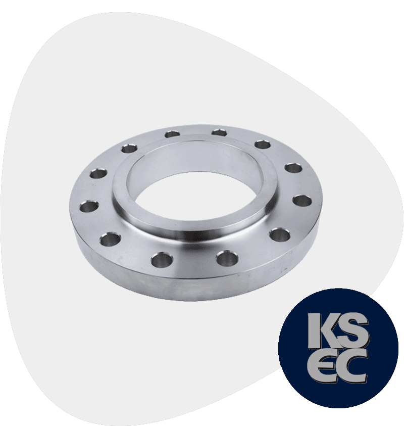 Stainless Steel Raised Face Forged Flanges