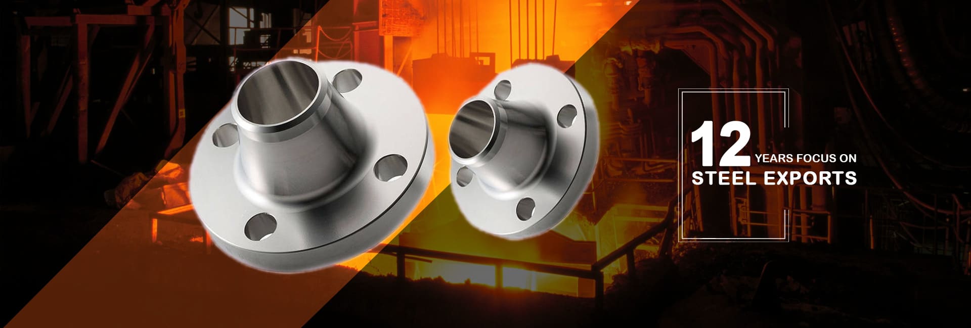 Stainless Steel 317 / 317L Flanges