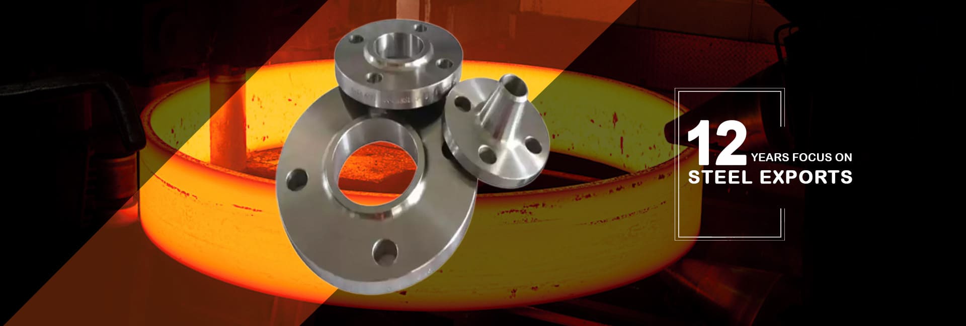 Stainless Steel 446 Flanges