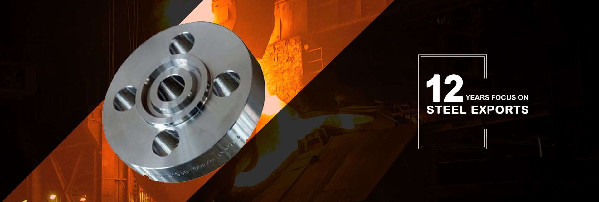 Stainless Steel Flat Face Forged Flanges