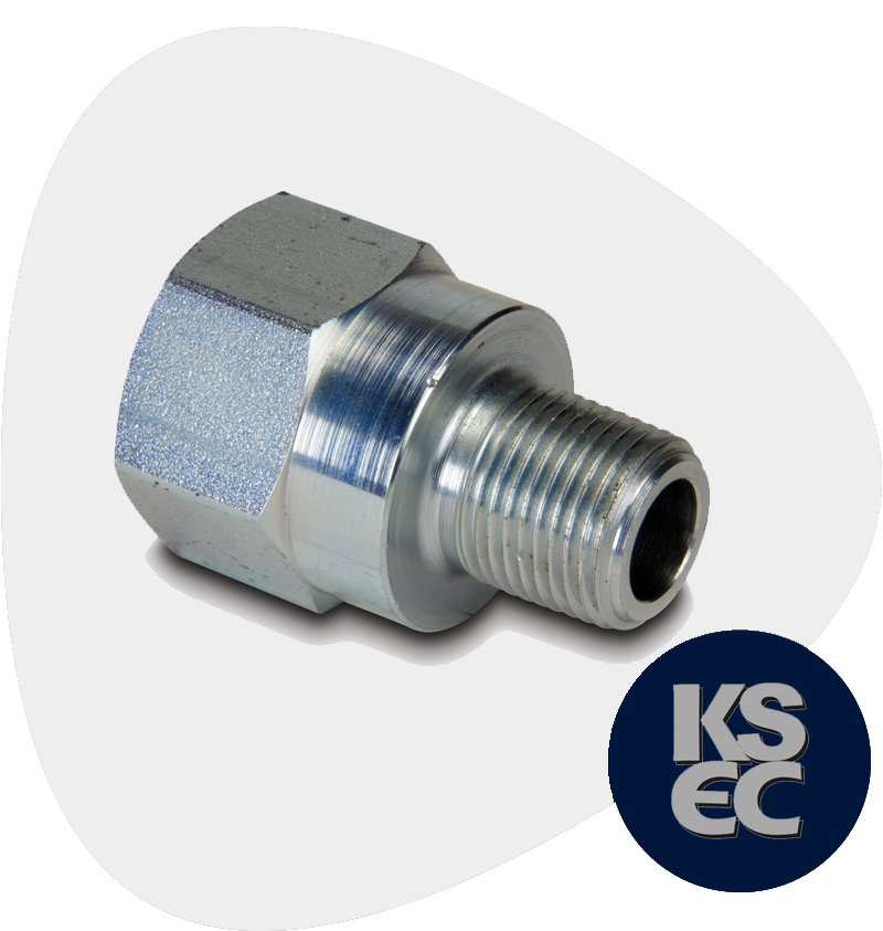 Stainless Steel Forged Threaded Adapters
