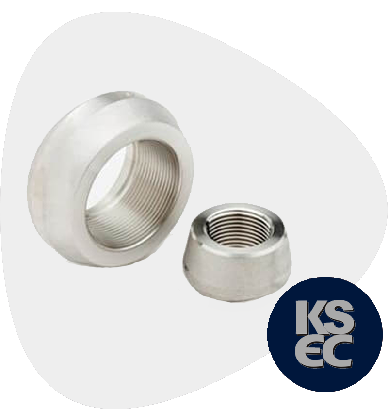 Stainless Steel Forged Threaded Branch Outlets