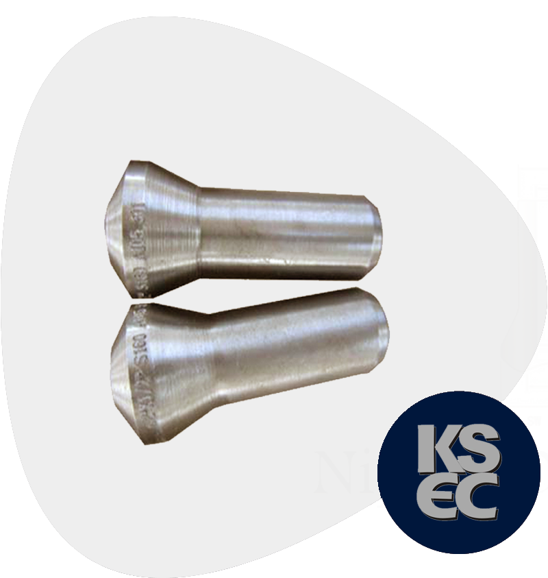 Stainless Steel Forged Threaded Nipple Branch Outlets