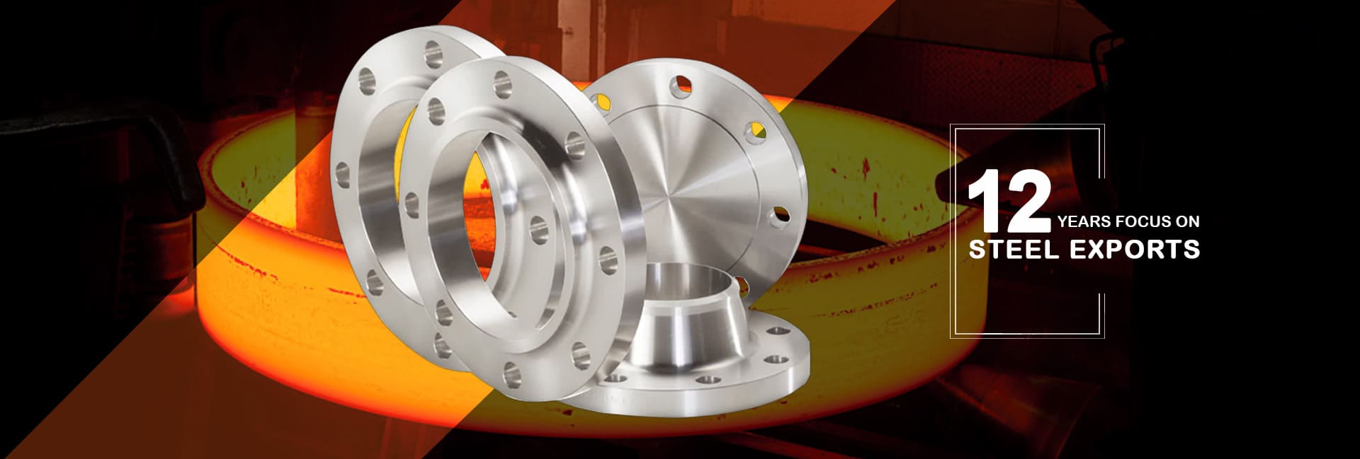 Stainless Steel Flanges